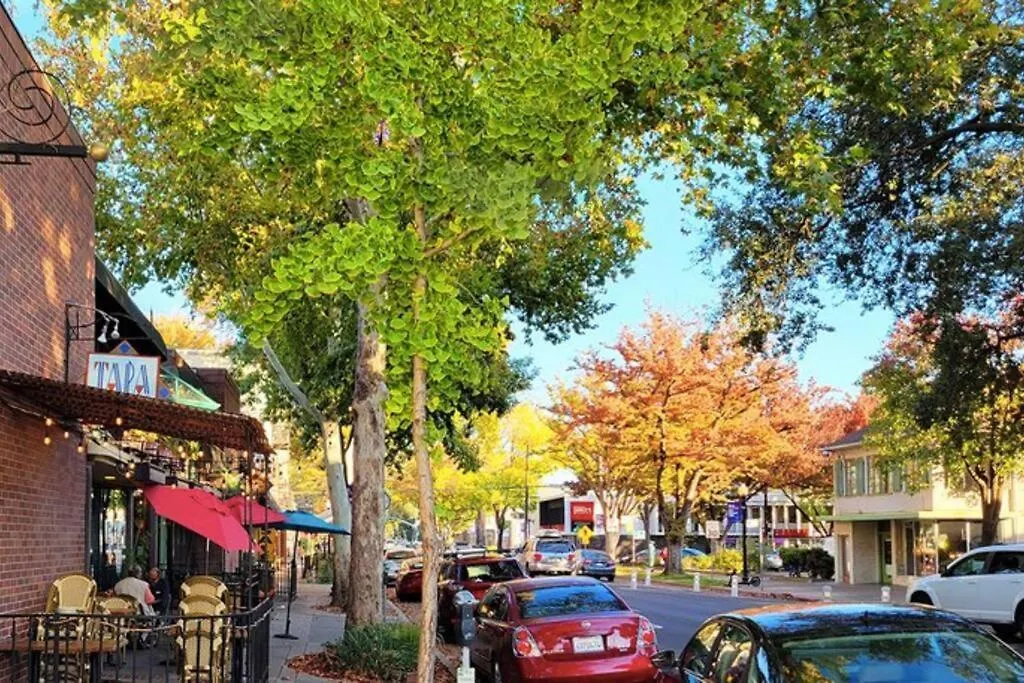 Artist'S Retreat Near The Heart Of The City Sacramento United States